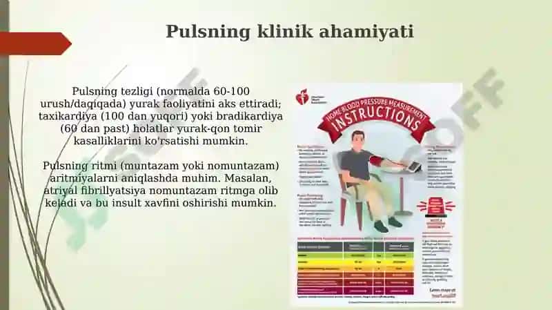 Pulsni tekshirish. Arterial bosim. Arterial bosimni o‘lchash. Gipertoniya va gipotoniya 7