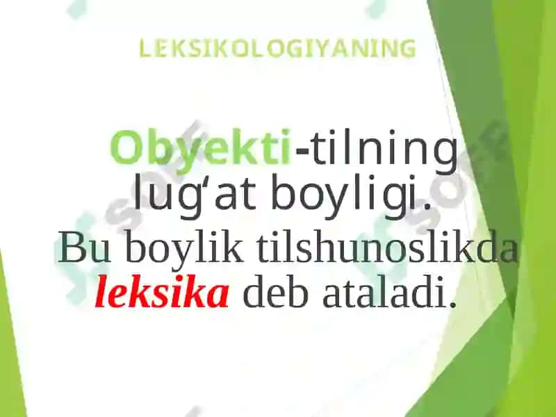 Hozirgi o‘zbek adabiy tilining leksik sathi va leksikologiyasi 7
