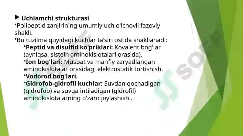 Aminokislotalar 7