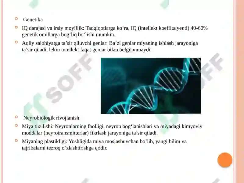 Intellektual rivojlanishning asosiy bosqichlari 7