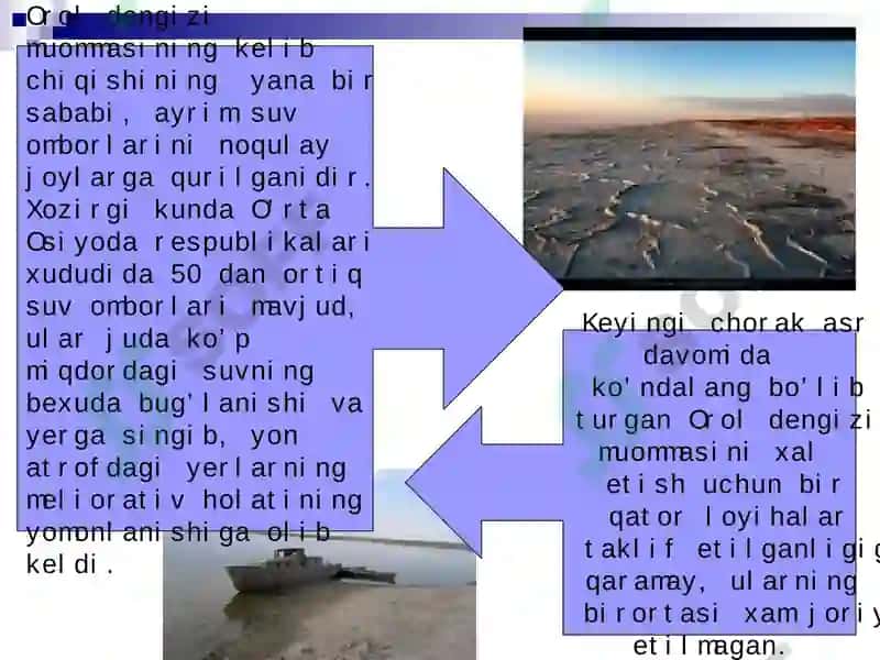 OROL BO‘YI HUDUDIDAGI EKOLOGIK MUAMMOLAR 7