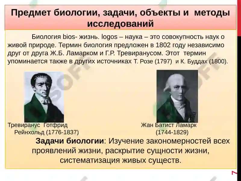 Лекции по медицинской биологии 7