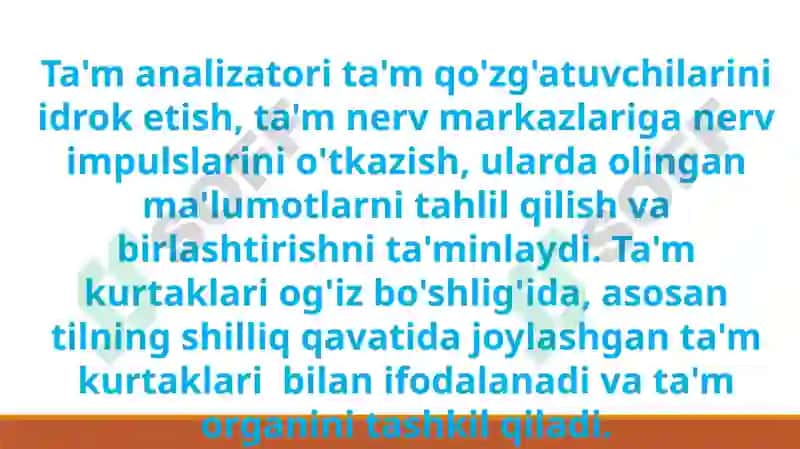 Ta’mbilisha’zolarining funksional anatomiyasi 7
