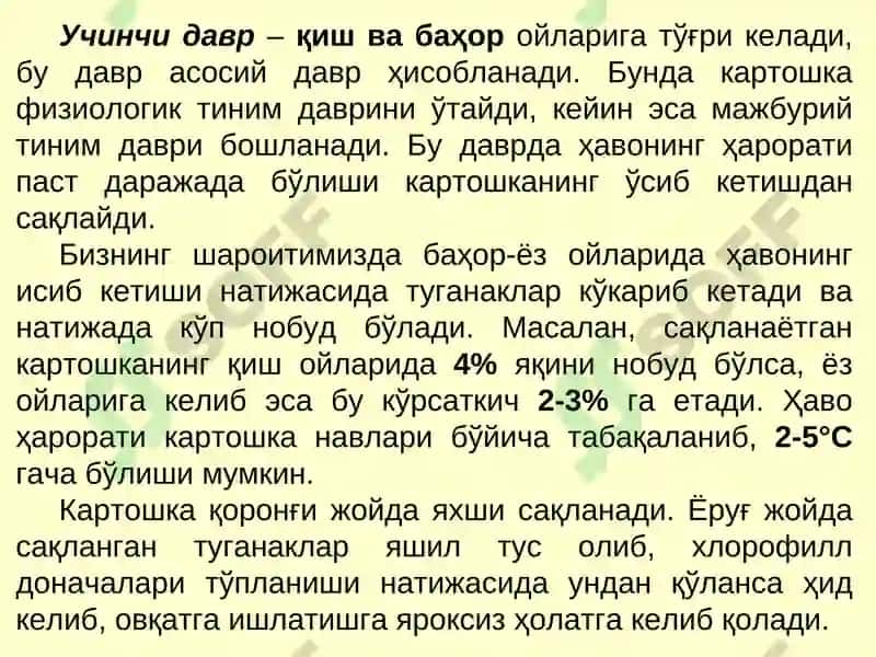 Картошка ва полиз маҳсулотларини сақлаш технологияси 7