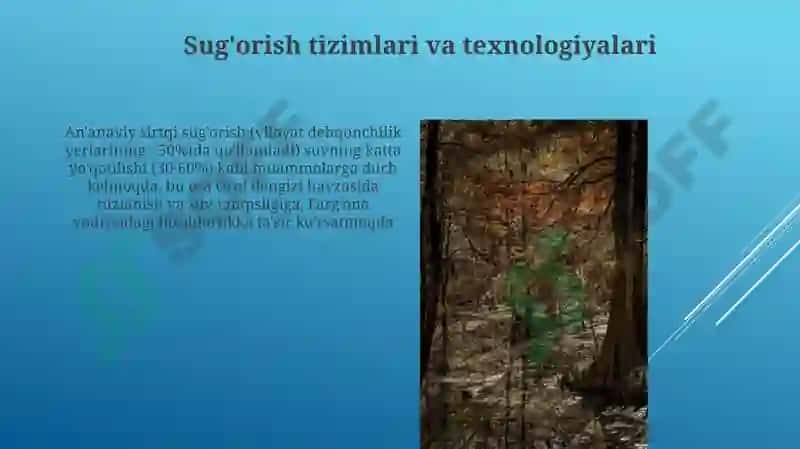 Markaziy Osiyo davlatlarining qishloq xoʻjaligi 7