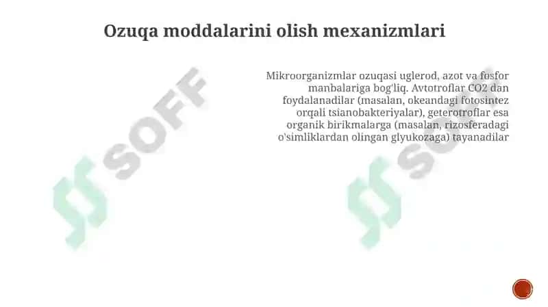 Mikroorganizlarning oziqlanishi va nafas olishi 7