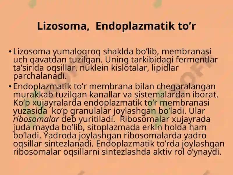 Hujayra Tuzilishi 7