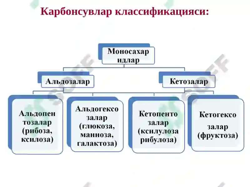 Карбонсувлар. Тузилиши ва хоссалари ва функциялари 7