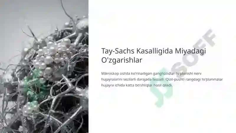 Yog'lar Almashinuvidagi Irsiy Buzilishlar: Molekuladan Klinikagacha 7