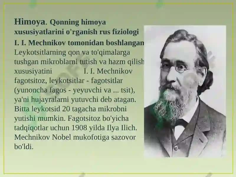 Qonning tuzilishi, funksiyalari va yoshga oid xususiyatlari 7