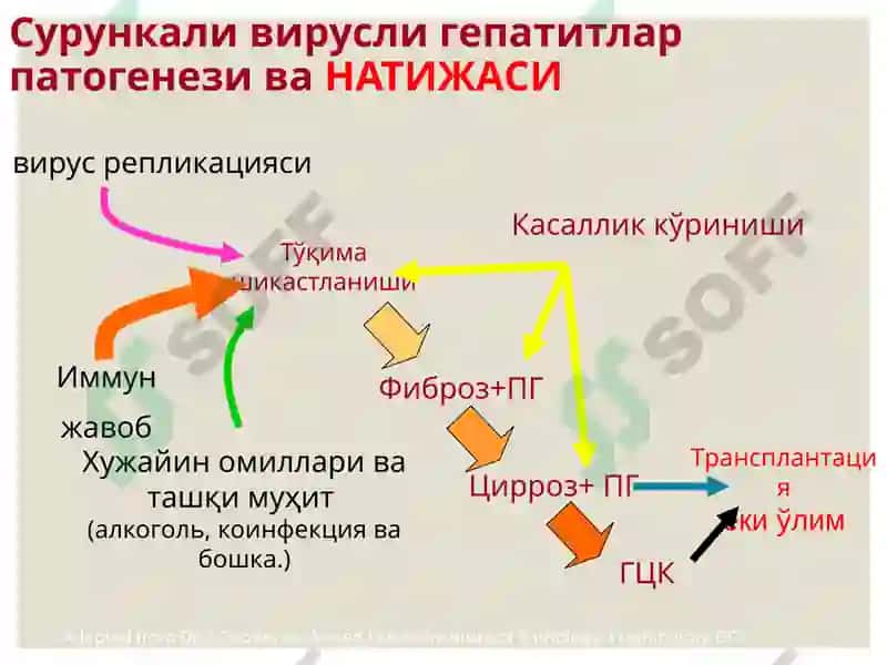 Жигар, ўт йўллари ва меъда ости безини ривожланиш нуқсонлари ва аномалиялари 7