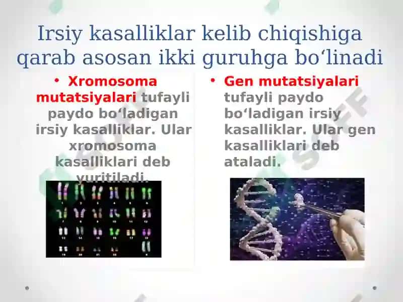 Irsiy kasallikning tasnifi 7