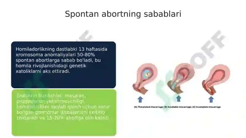 Ertalabki toksikoz va homiladorlikning birinchi yarmida yo'qotish xavfi 7