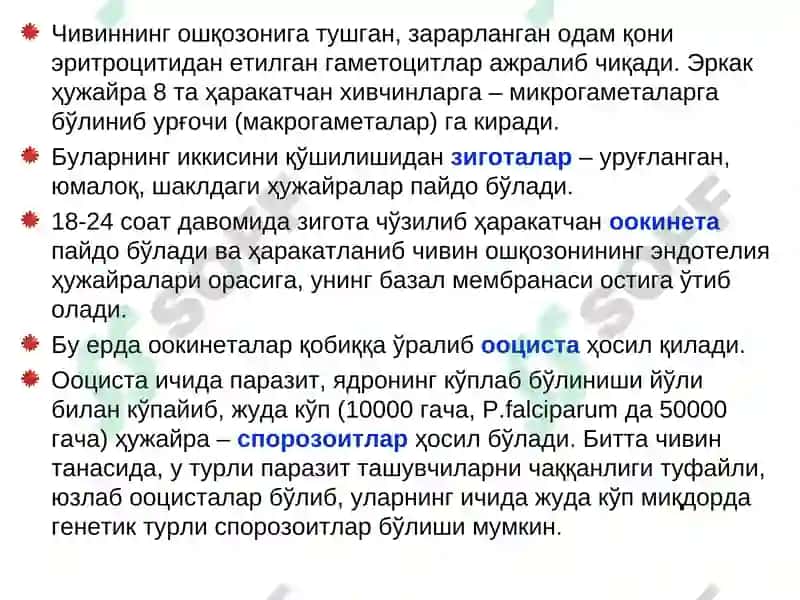 BEZGAK MALYARIYA, MALARIA 7