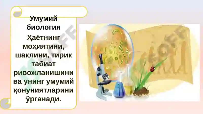Тиббий таълим тизимида биологиянинг тутган ўрни 7