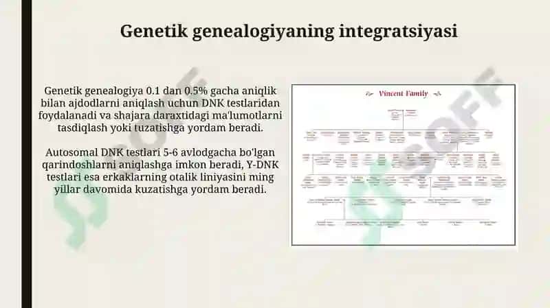 Zamonaviy genealogik jadvallar 7