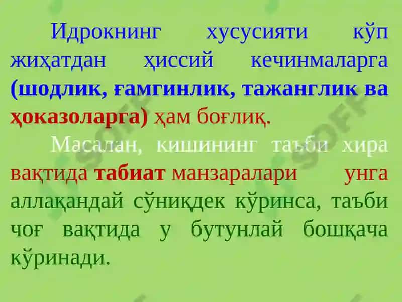 Идрок 7