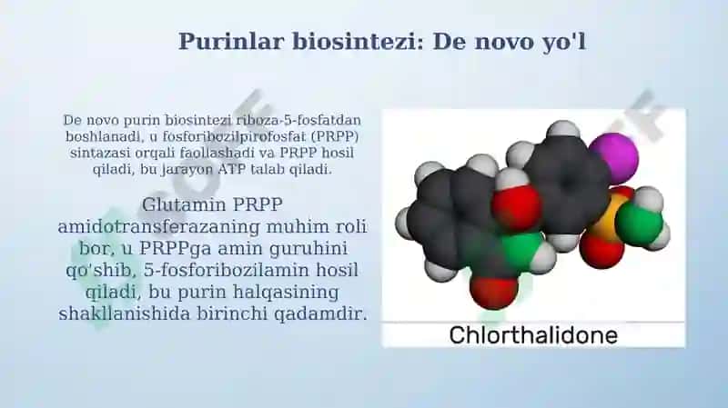 Purin va pirimidin asoslari almashinuvi 7