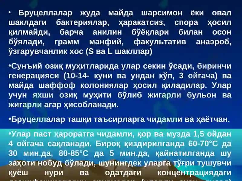 Бруцеллез 7