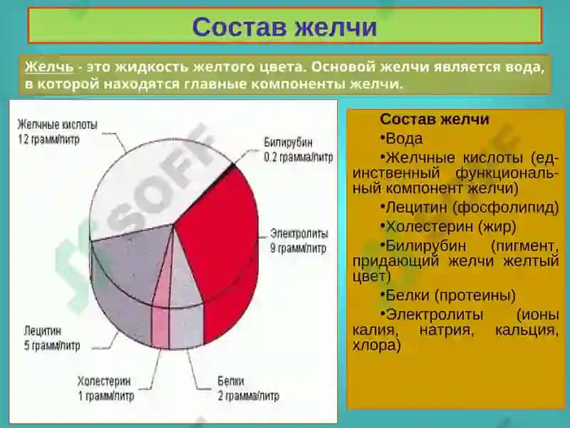 Желчнокаменная болезнь. Холециститы, диагностика и лечение 7
