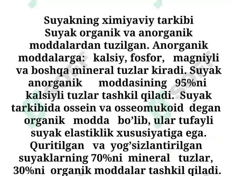 Osteologiya: Skеlet sistеmаsini umumiy tа’rifi 7