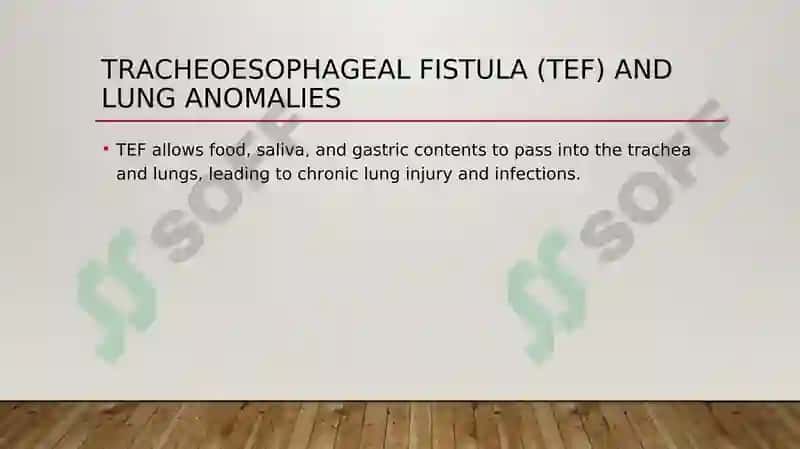 Lung Pathology 7