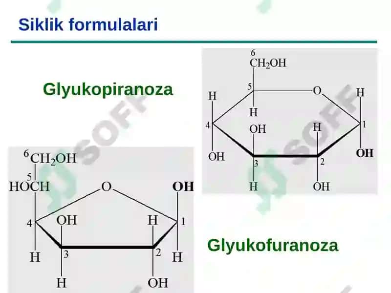 Uglevodlar Sho'rchi 2024 7