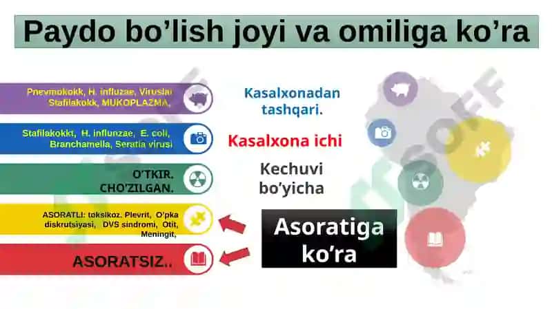 Zotiljam 7