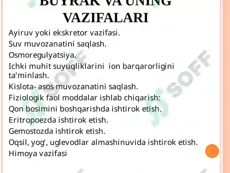 Ayirish Sistemasi Fiziologiyasi 7