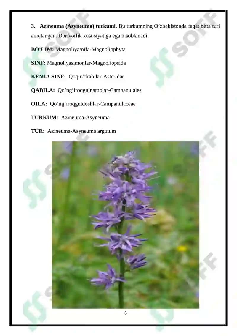 TEMIRDARAXT KABILAR HAQIDA 7