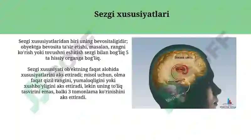Sezgi va idrok: farqi, oʻzaro bogʻliqligi 7