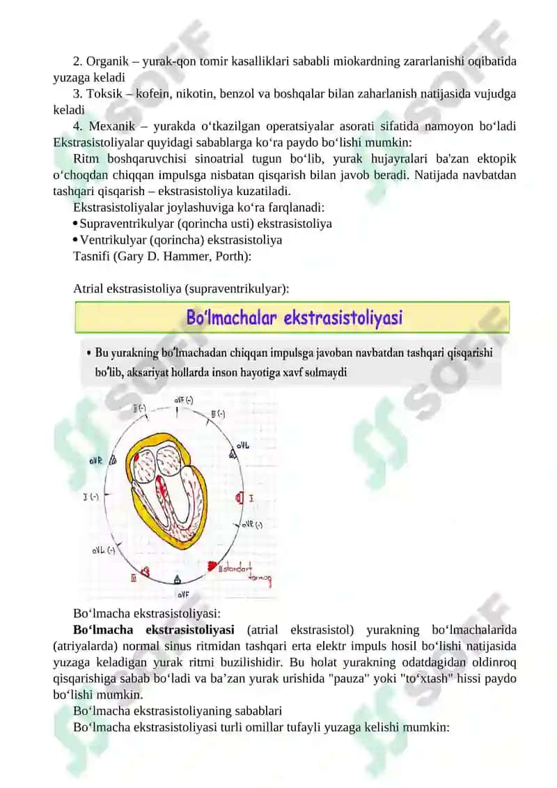 Yurak qo'zg'aluvchanligi buzilishi Patofiziologiyasi 7