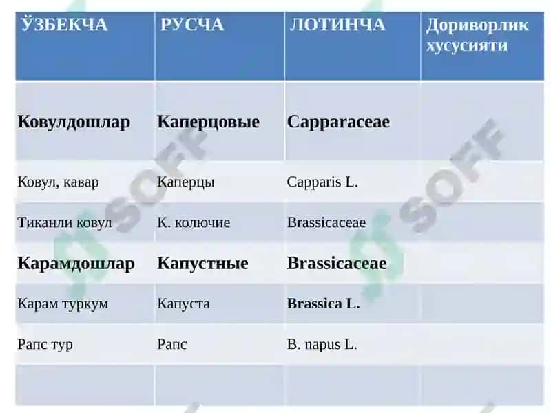 Толали доривор ўсимликлари 7