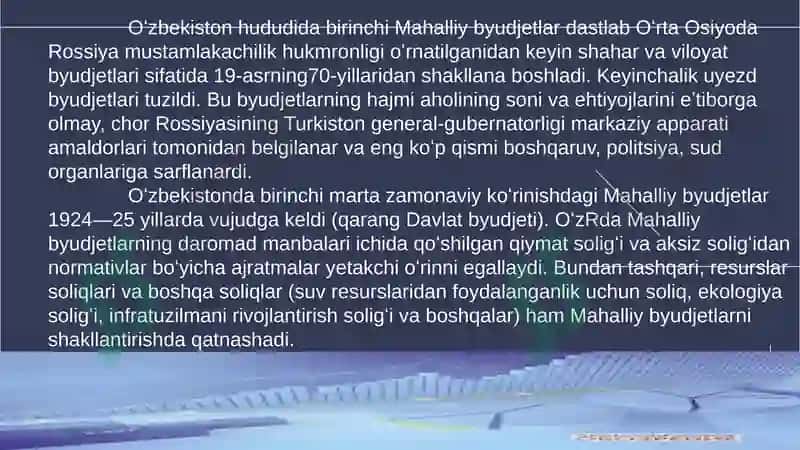 Mahalliy budjetlar mavzusida taqdimot 7