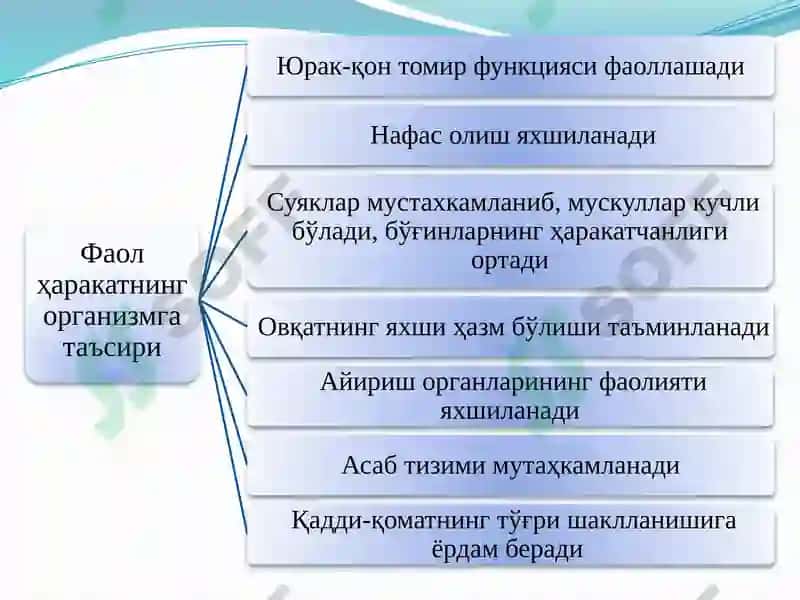 Соғлом турмуш тарзи ва унинг таркибий қисмлари 7