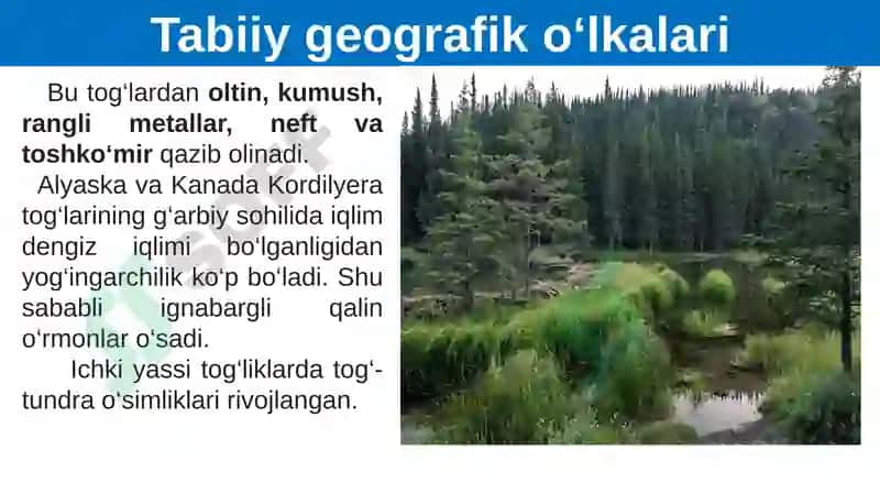 Shimoliy Amerikaning Tabiiy Geografik Ko‘lkalari va Xolisi 7