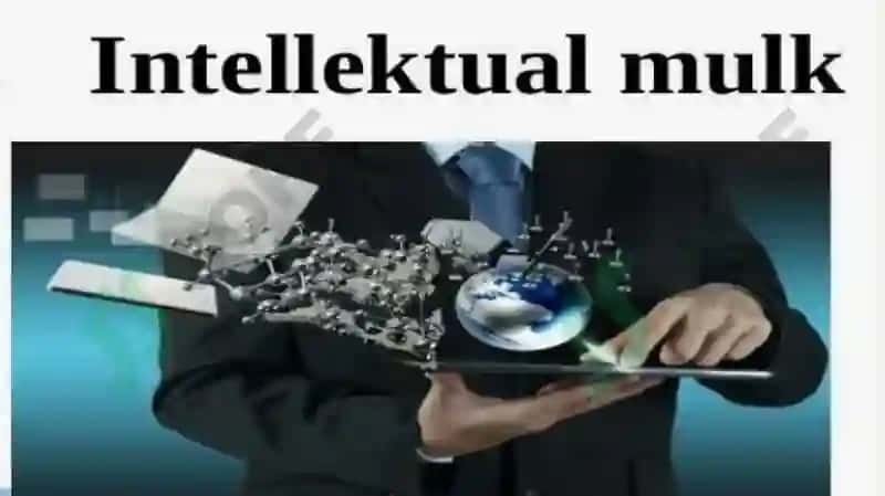 Intellektual mulk 7