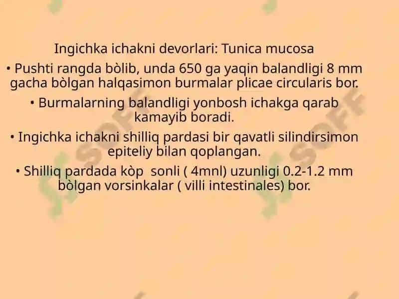 Ingichka ichak, uning qismlari, rivojlanishi, funksiyasi va topografiyasi.  Yoģon ichak , uning qismlari, rivojlanishi,  topografiyasi va funksiyasi.  Togri ichak qismlari,  sfinkterlar, tuzilishi, topografiyasi. 7