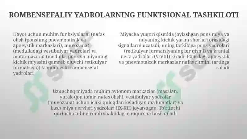 Miyachaning tuzilishi. IV-qorincha, Rombsimon bosh miya nervlari o'zaklarining joylashishi 7