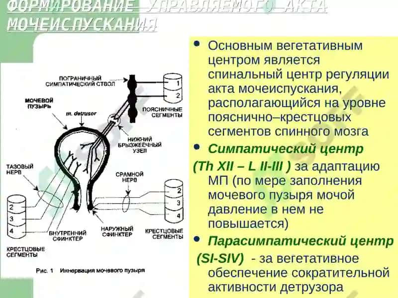 Энурез у детей 8