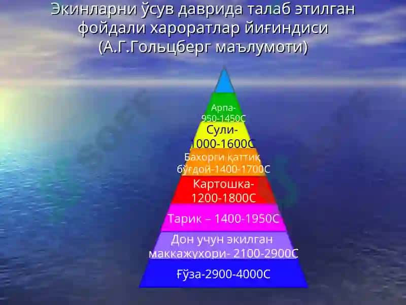 Тупроқнинг иссиқлик режими ва уни бошқариш 8