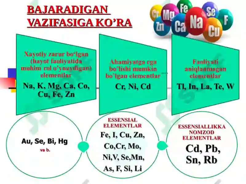 Biogen Elementlar Kimyosi 8