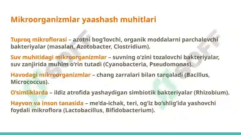Мikroorganizmlar ekologiyasi. Inson tanasining normal mikroflorasi va uning ahamiyati va vazifalari. Disbakteriozlar 8