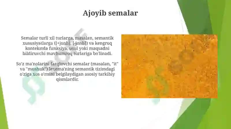 Semantik tahlilning cheklashlari 8