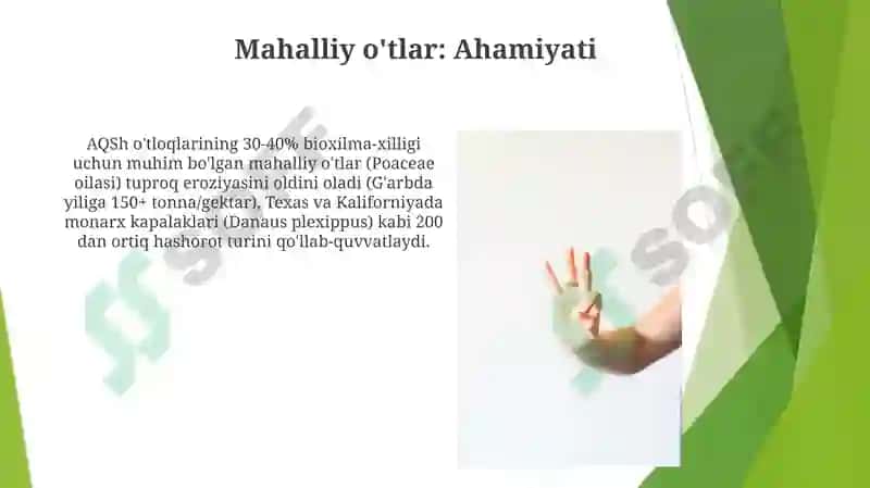 Sredniy rod. Otlarning 3 turlanishi 8