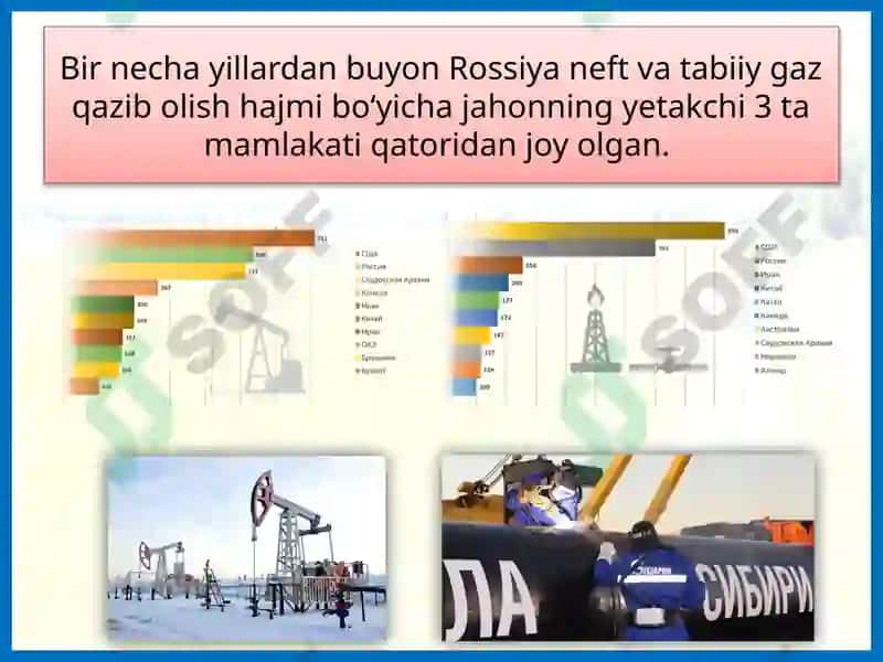 Rossiya Federatsiyasi Iqtisodiyoti 8