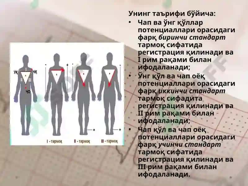 EKG ni yozib olish 8