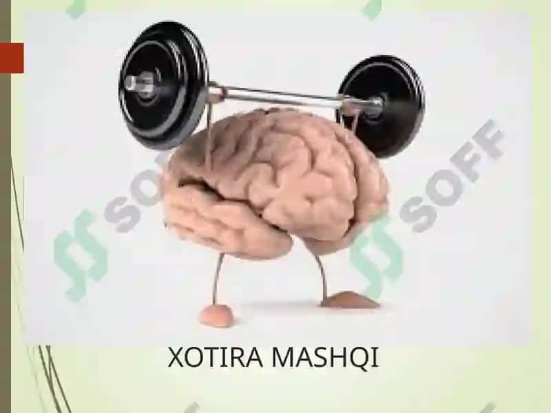 Xotira 8