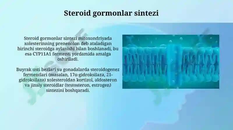 Fosfolipid va steroid metabolizmi 8