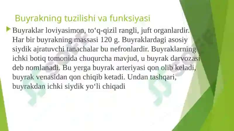 Ayiruv tizimining yoshga oid fiziologiyasi va gigienasi 8